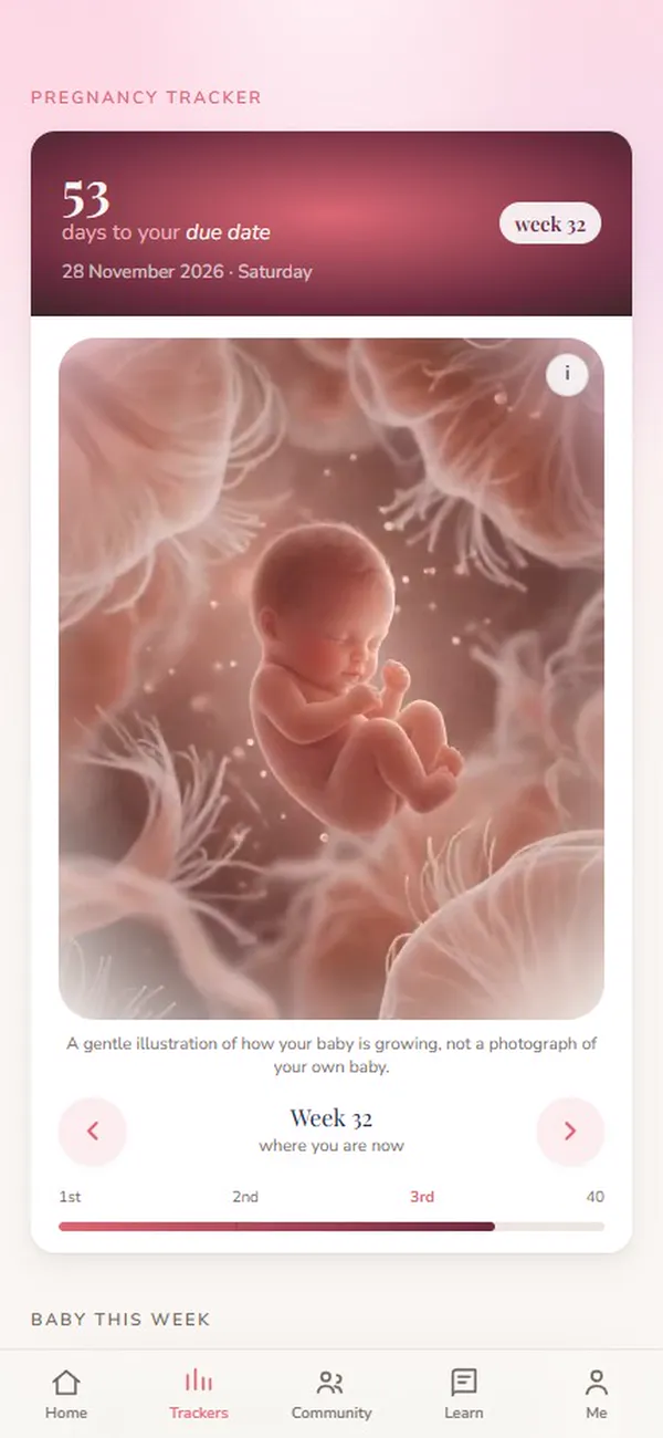 The pregnancy tracker: days to the due date and the baby this week