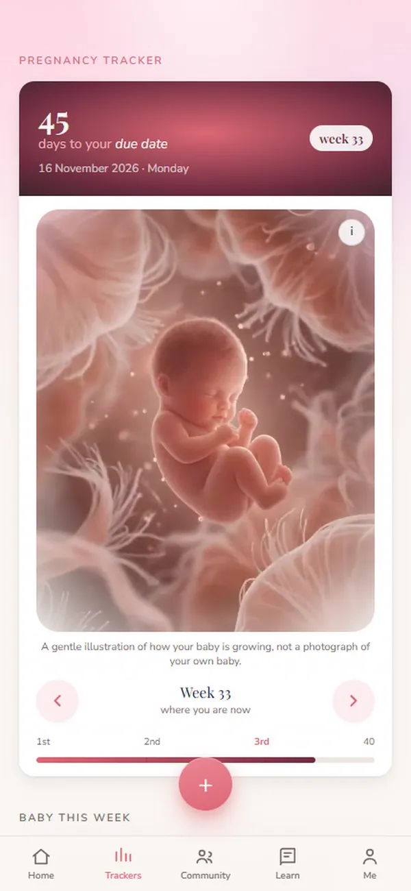 The pregnancy tracker: days to the due date and the baby this week